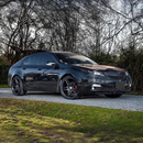 SuperAutoUSA 2013 TL front grille trim gloss black

