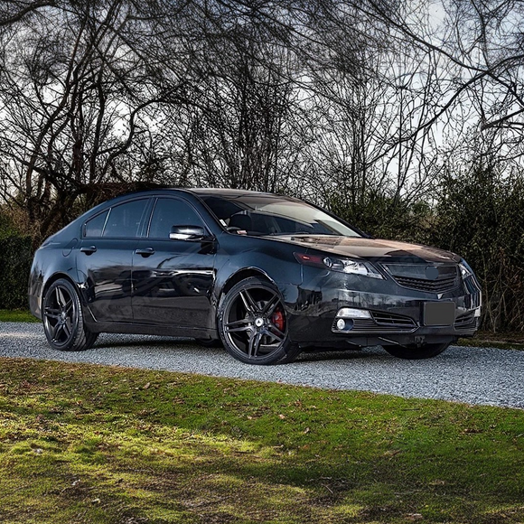 SuperAutoUSA 2013 TL front grille trim gloss black

