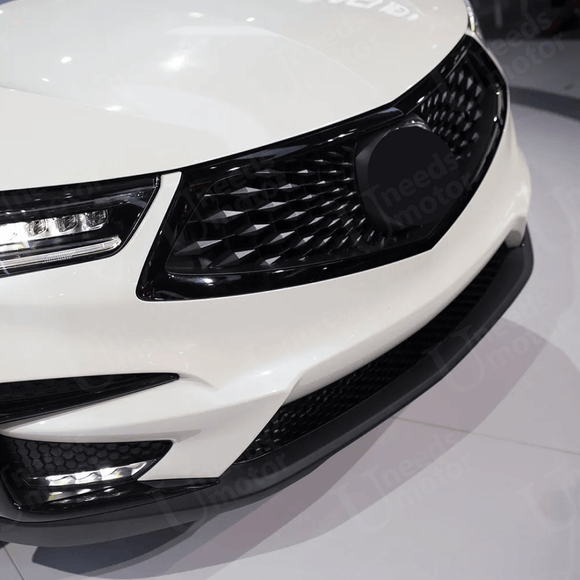 Front Motorsport Grille