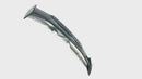 Aerodynamic Real Carbon Fiber Rear Wing Spoiler for 2024 Honda Civic Type R FL5 by SuperAutoUSA
