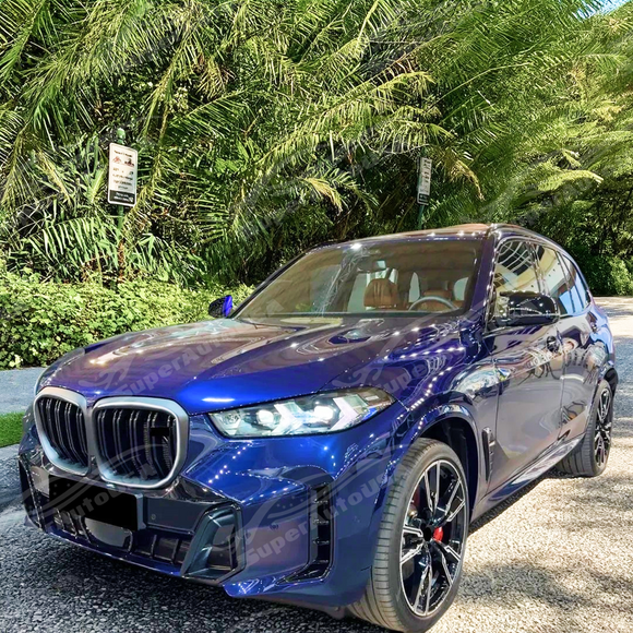 Detailed mesh pattern of the gloss black front bumper grilles insert