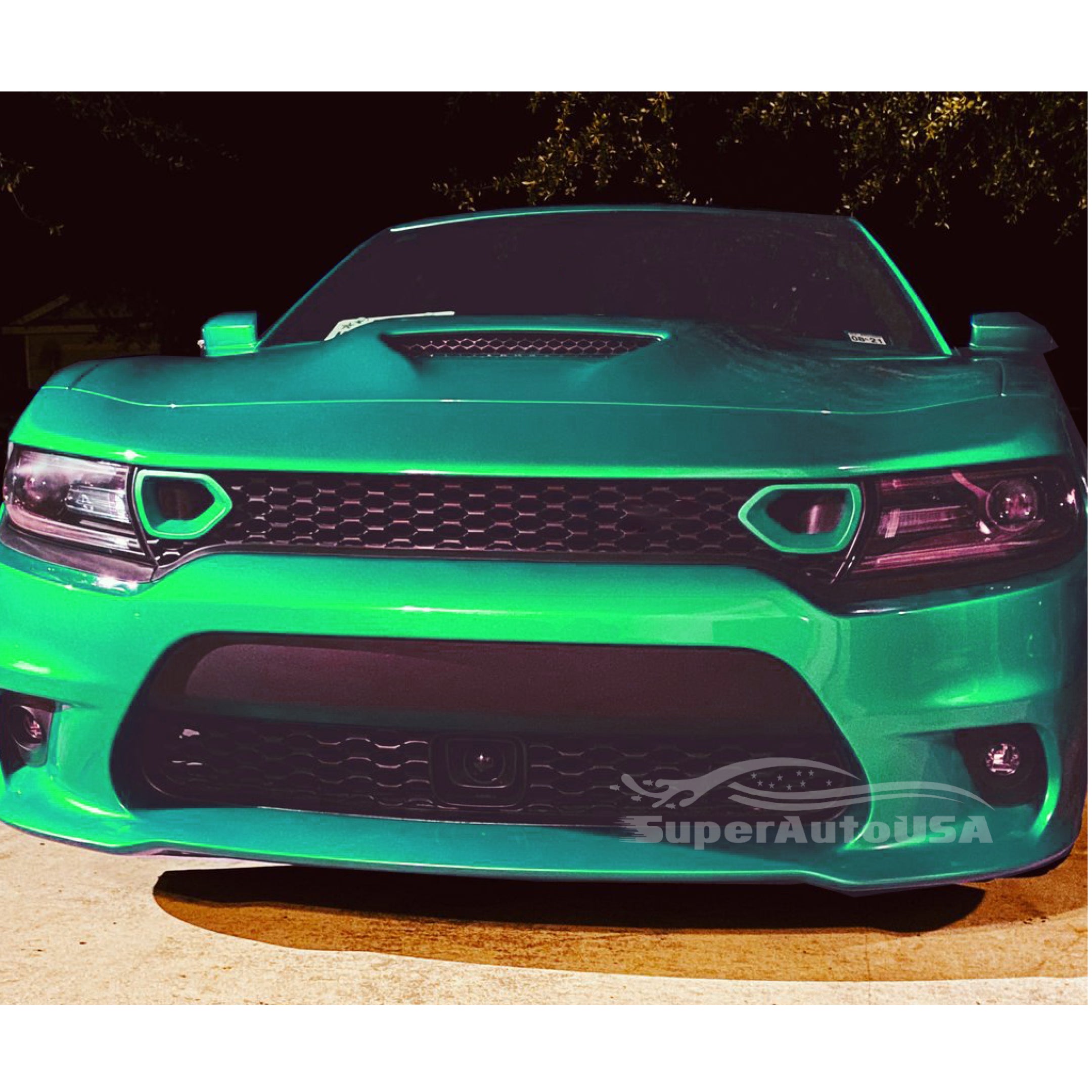 Se adapta a Dodge Charger SRT Scat Pack 2015-2020, parrilla delantera, doble entrada, bisel de aire (verde) - 0